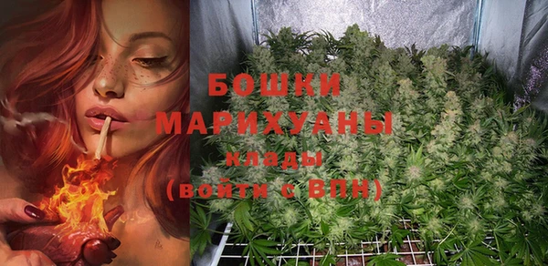 PSILOCYBIN Балахна