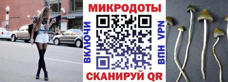 Псилоцибиновые грибы прущие грибы  Глазов 